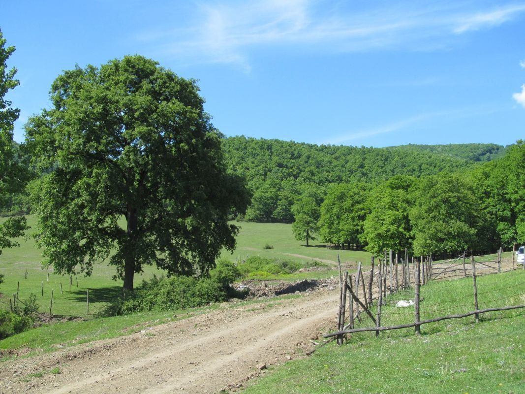 Tepeköy Mesire Alanı